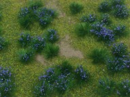 Flowering Meadow-Purple