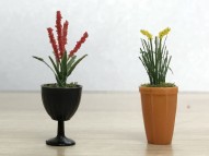 Assorted Potted Flower Plants 2