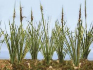 Dried Cattails - O-scale