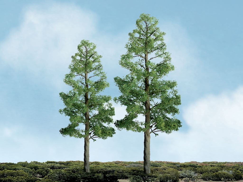 Pine - SceneryProducts
