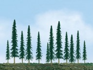Scenic Conifer