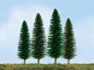Scenic Cedar