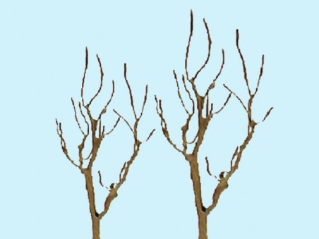 Mountain Gum Tree Armature