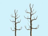 Sycamore Tree Armature