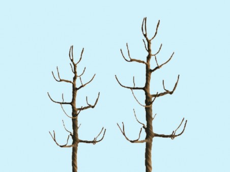 Sycamore Tree Armature