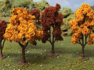 2"- 3" Autumn Deciduous tree, 10/pk