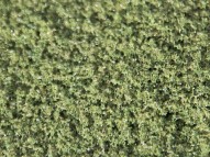 Blended Turfs - Moss Green Fine