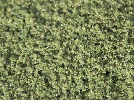 Blended Turfs - Moss Green Fine