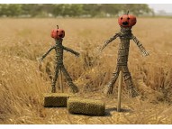 Scarecrow & Hay
