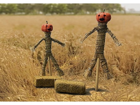 Scarecrow & Hay