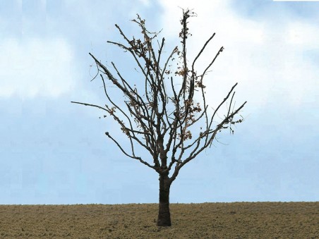 Dry Tree