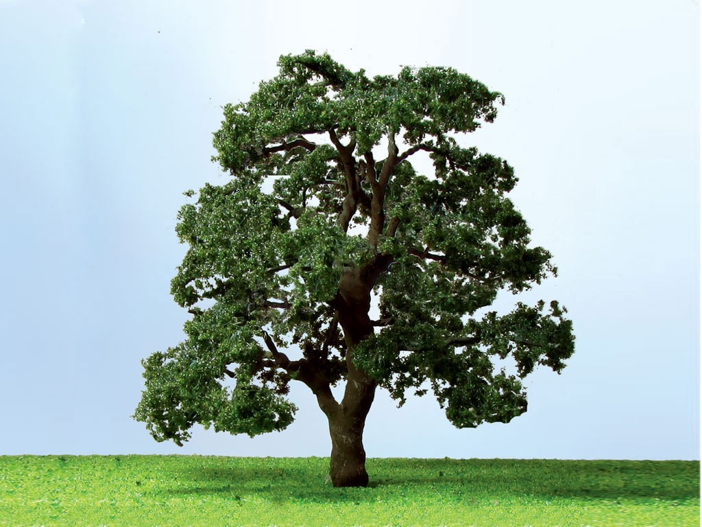 Live Oak - SceneryProducts